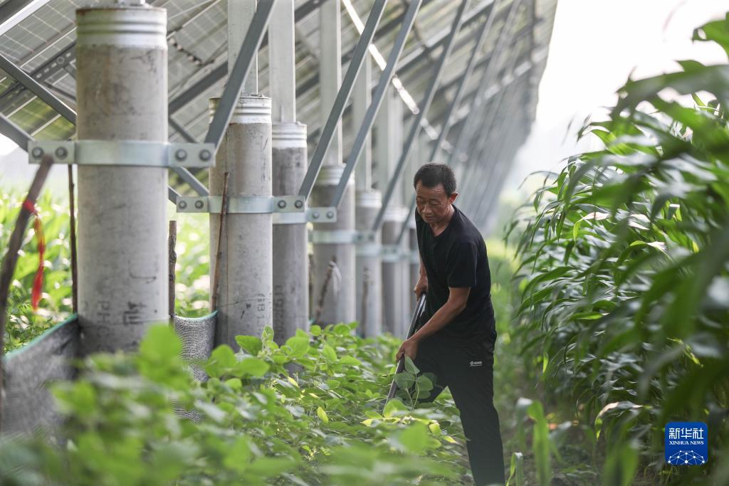 手机购彩app下载
